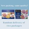 imageArtecho 12pcs Neon Soft Pastels Square Chalk for Drawing Blending Layering Shading Pastels Art Supplies70 colors long