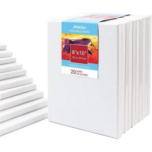 imageArtecho 8x10 Inch Stretched Canvas White Blank 20 Pack Primed 100 Cotton Super Value Bulk Pack for Painting Acrylic Pouring Oil Paint ampamp Artist Media